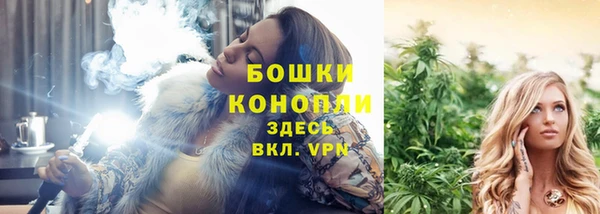 ПСИЛОЦИБИНОВЫЕ ГРИБЫ Лихославль