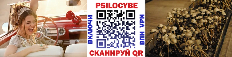 Галлюциногенные грибы Cubensis цена наркотик Чернушка