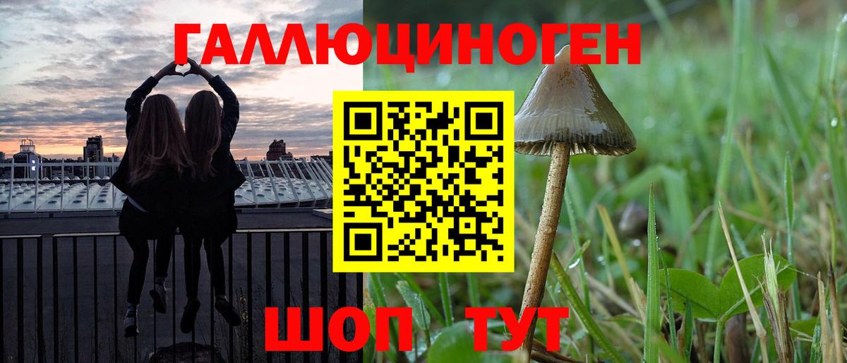 купить наркоту  Псилоцибиновые грибы Psilocybine cubensis  Чернушка  Псилоцибиновые грибы прущие грибы 