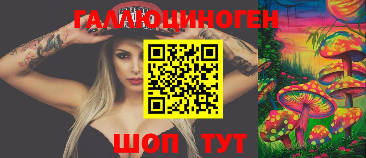 Чернушка  что такое   Галлюциногенные грибы Psilocybine cubensis  Вход с VPN  Псилоцибиновые грибы Magic Shrooms 